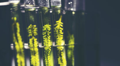 Photobioreactor in lab algae fuel biofuel industry. Algae fuel