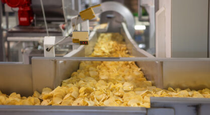 Crisp factory